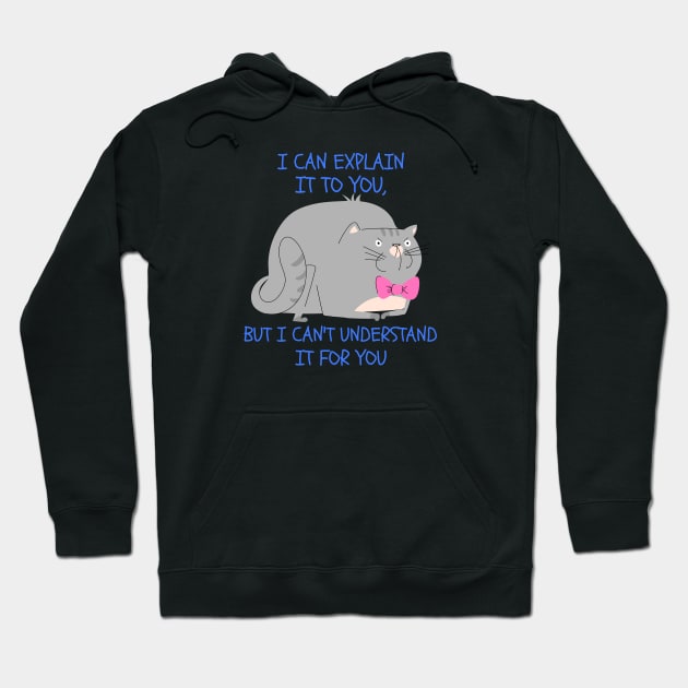 I CAN EXPLAIN IT TO YOU, BUT I CAN'T UNDERSTAND IT FOR YOU Hoodie by pixelatedidea